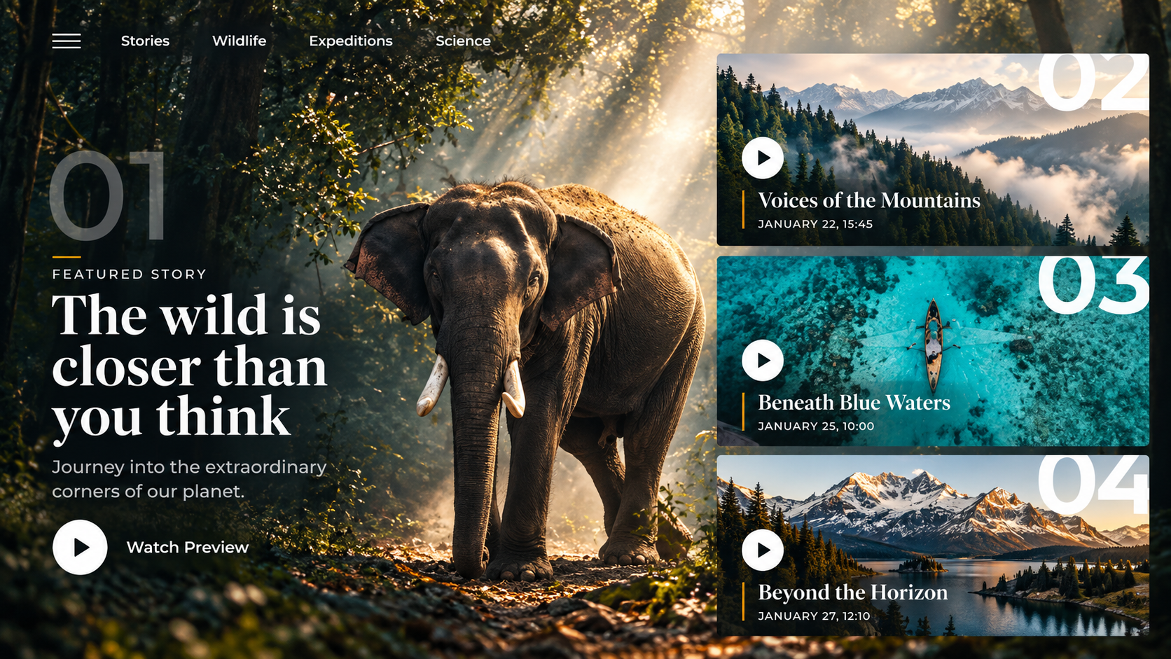 Concept editorial homepage with a featured story over an elephant in a forest and numbered story cards on the right.